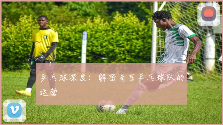 乒乓球深度：解密南京乒乓球队的运营